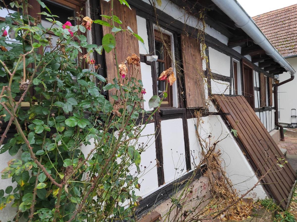 Petite Maison Alsacienne Entzheim Exterior foto